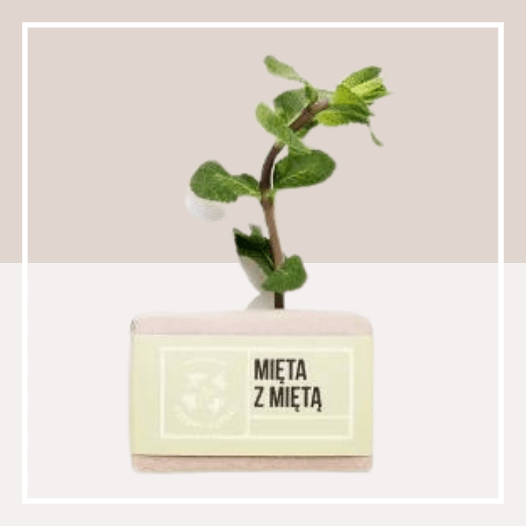 Four Starlings - Mint with Mint Soap - Refreshing